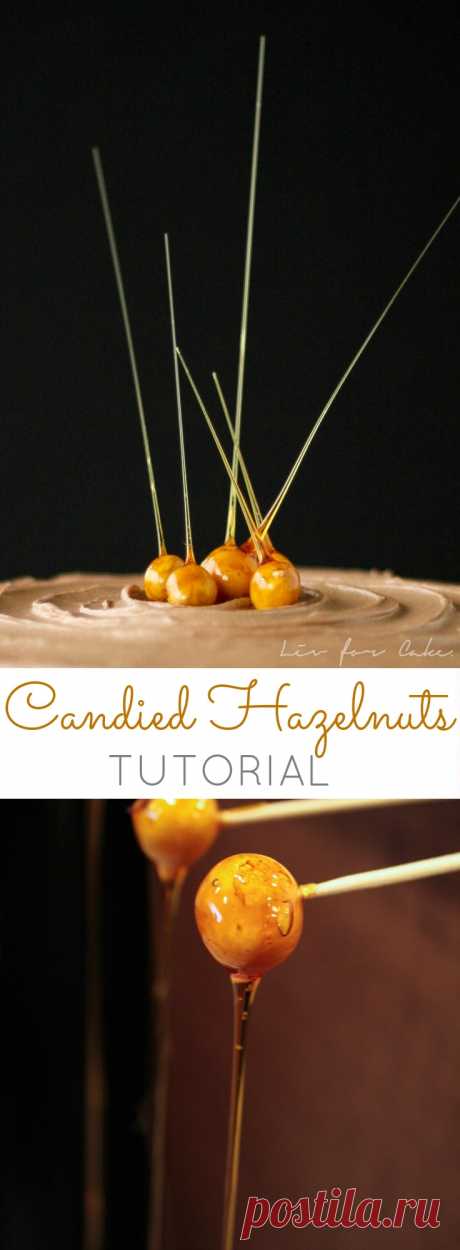 Candied Hazelnuts - Liv for Cake