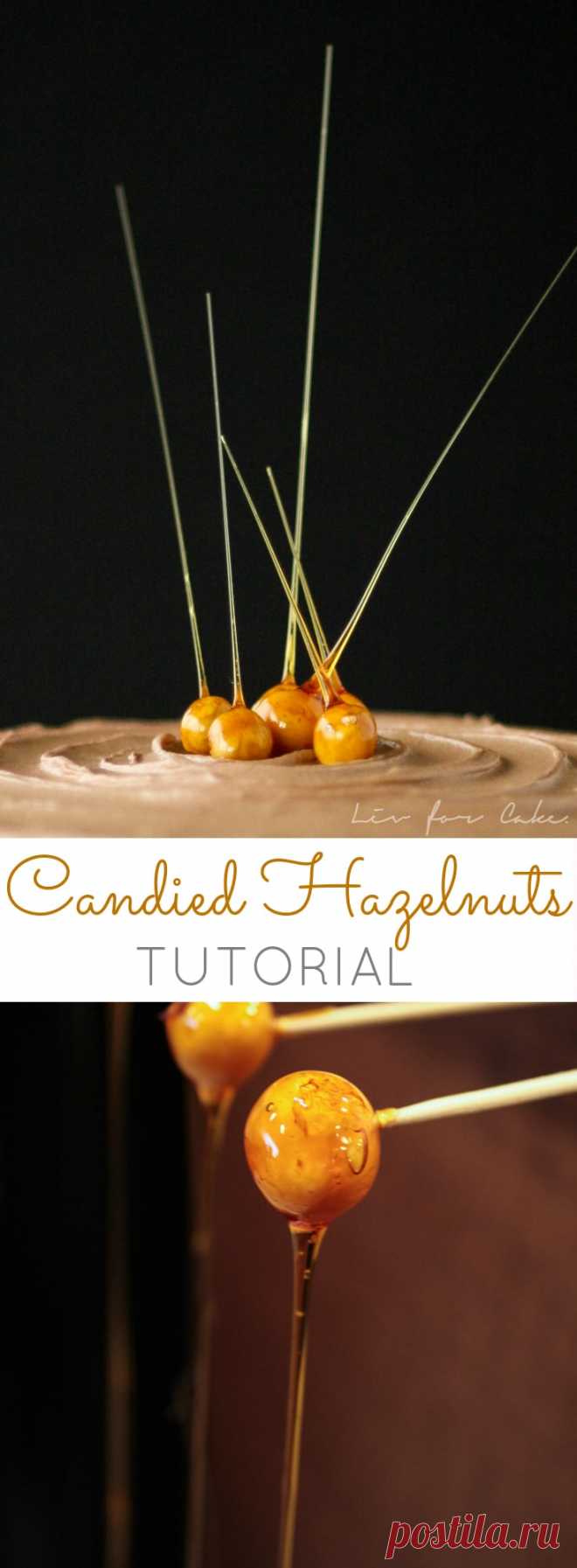 Candied Hazelnuts - Liv for Cake