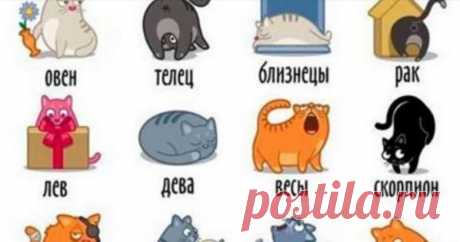 Стихотворные опусы про знаки зодиака / Мистика