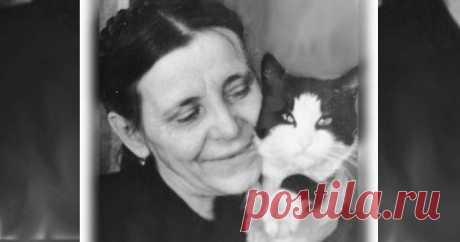 Вставная челюсть кота Маркиза. Из серии: Легенды и были о блокадных котах
	


Расскажу о долгой бескорыстной дружбе с котом - совершенно замечательной личностью, с которым под одной крышей провёл 24 радостных года. Маркиз родился на два года раньше меня, ещё до Великой Отечественной войны. Когда фашисты сомкнули вокруг города кольцо блокады, кот пропал. Это нас не удивило: город голодал, съедали всё, что летало, ползало, лаяло и мяукало.

Вскоре мы уехали в тыл и вернулись...