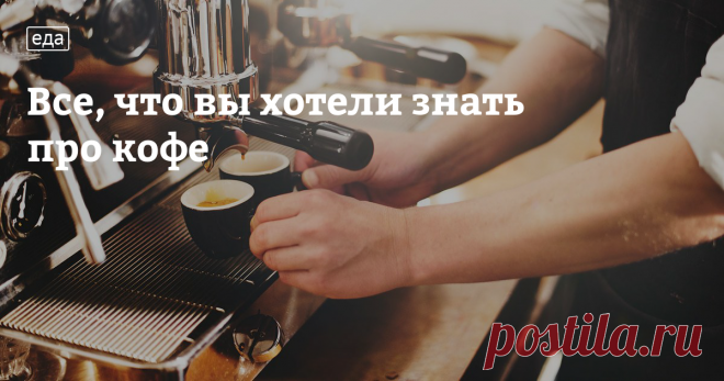 «Для вдохновения мне нужны только раскрытый рояль, тишина и чашечка кофе», — говорил Иоганн Штраус. Кофе на самом деле очень вдохновляющий напиток, благодаря которому в мире было сделано множество открытий. Кофе придавал творческие силы не только музыкантам, но и художникам, писателям и поэтам. «Жар, восторг и вдохновенье грудь исполнили мою — кофе, я тебя пою», — писал Вильгельм Кюхельбекер.Несмотря на то что во вре...
