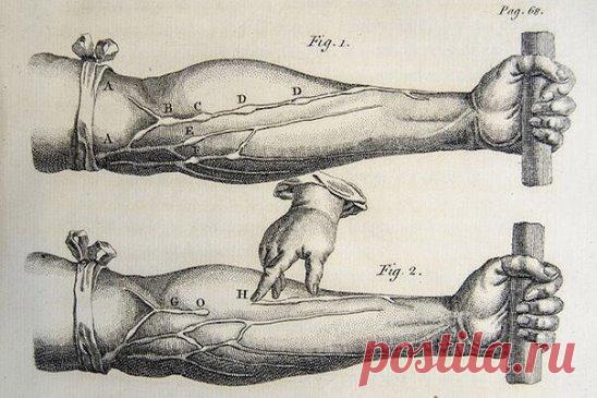 10 самых интересных фактов о мышцах
200 мышц включаются в работу при одном только шаге. Сердце - самая выносливая мышца организма - работает постоянно. Мышцы растят и тренируют, о них написаны тонны спортивной литературы. Мы расскажем самое интересное. 
1. Сколько всего мышц? 
Всего в человеческом организме насчитается от 640 до 850 мышц. Во время простой ходьбы организм задействует до 200 мышц. Мышечная ткань на 15% плотнее и тяжелее жировой, поэтому тренированный человек...