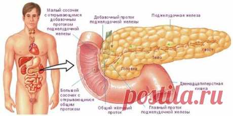 4 Самые простые, доступные и эффективные рецепты для исцеления поджелудочной железы, о которых врачи умалчивают