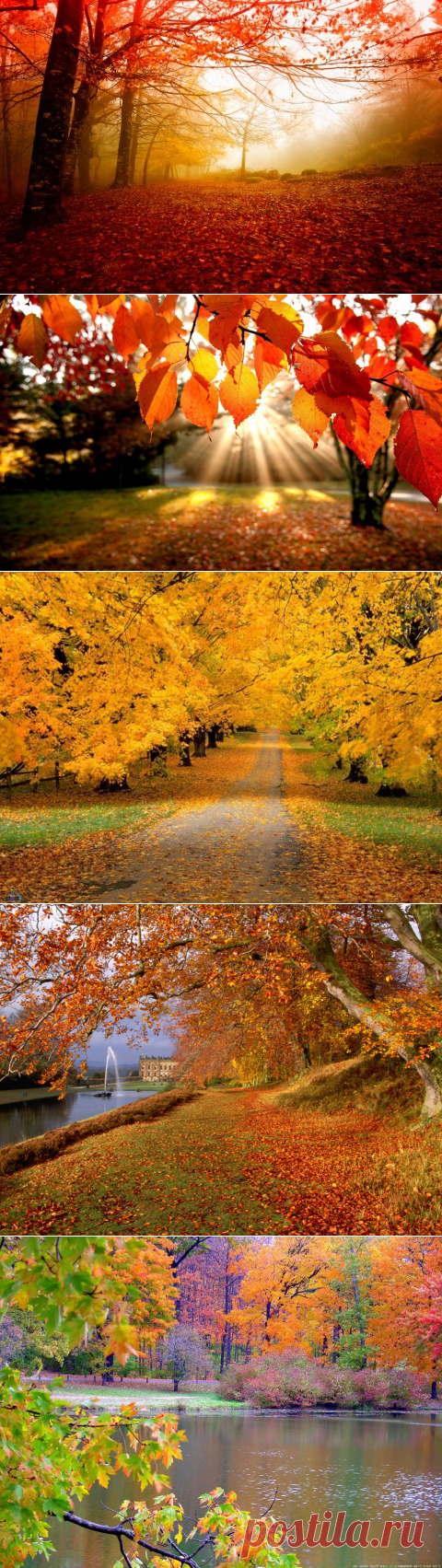 Осень, очей очарование!

Листопад

Лес, точно терем расписной,
Лиловый, золотой, багряный,
Веселой, пестрою стеной
Стоит над светлою поляной.

Березы желтою резьбой
Блестят в лазури голубой,
Как вышки, елочки темнеют,
А между кленами синеют
То там, то здесь в листве сквозной
Просветы в небо, что оконца.
Лес пахнет дубом и сосной,
За лето высох он от солнца,
И Осень тихою вдовой
Вступает в пестрый терем свой...
(И. Бунин) ©
http://otmetim.info/stixi-pro-osen-russkix-poetov/