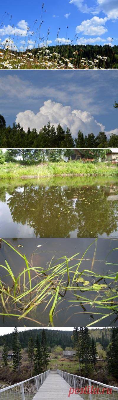 STRELOGOS: стихи и проза - Стихи