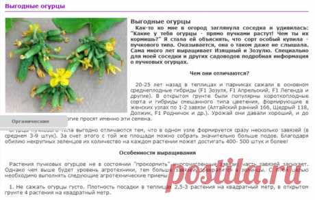 Выгодные огурцы..