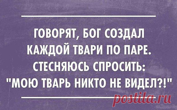 Интересные новости