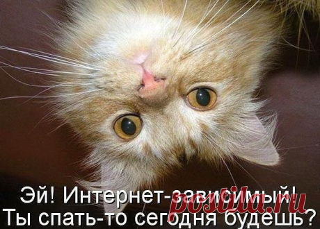 В интернете