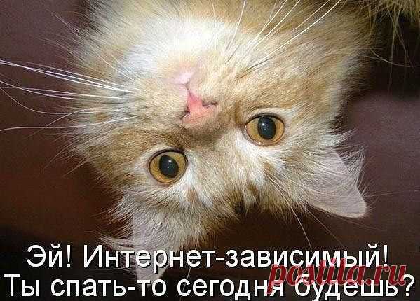 В интернете