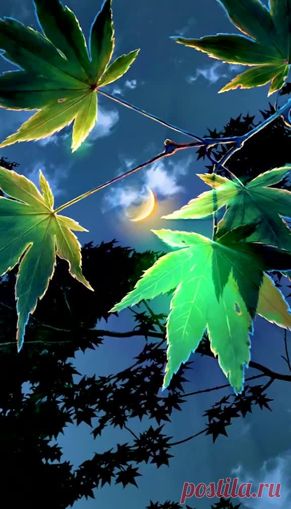 アニメ🇯🇵 (@maru962) TikTok | Watch アニメ🇯🇵's Newest TikTok Videos