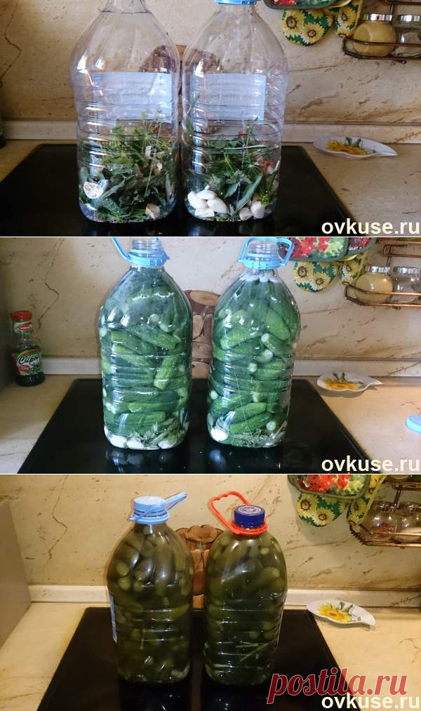 Соленые огурцы (как из бочки) в пластиковой бутылке - Простые рецепты Овкусе.ру