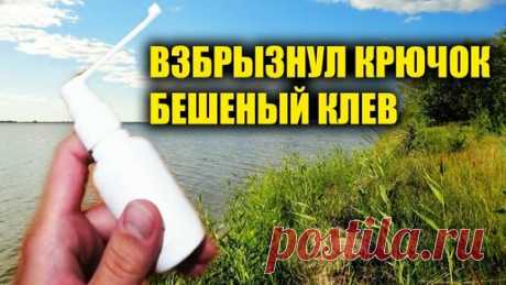 АВТОРСКАЯ ПРИКОРМКА | Брызнул на крючок и вся рыба клюёт двое суток, после меня другие рыбаки ещё приходят долавливать за мной на моё место