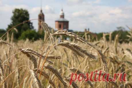 О былом нет печали... 
Игорю Мэю 

О былом нет печали – 
У кого ни спроси! 
Показать полностью…