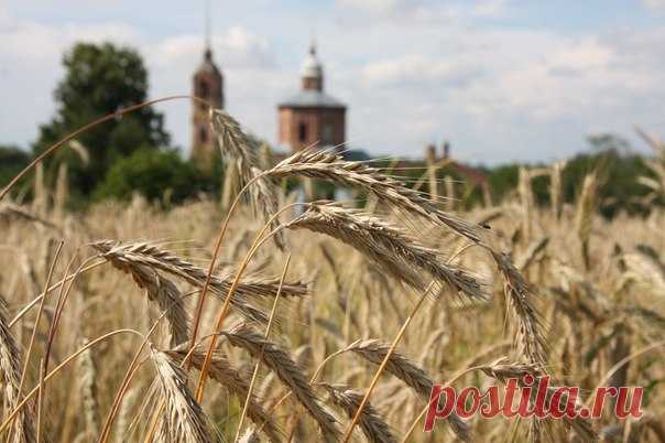 О былом нет печали... 
Игорю Мэю 

О былом нет печали – 
У кого ни спроси! 
Показать полностью…