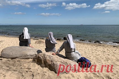 Ученые испугались рекордной жары в сентябре. Сентябрь 2023 года стал самым теплым за всю историю наблюдений, сообщила Всемирная метеорологическая организация (ВМО) ООН. Средняя температура воздуха на планете достигла плюс 16,38 градуса Цельсия. Показатель на 0,5 градуса оказался выше предыдущего рекорда сентября 2020 года и на 1,75 градуса — чем в 1850-1900-е.
