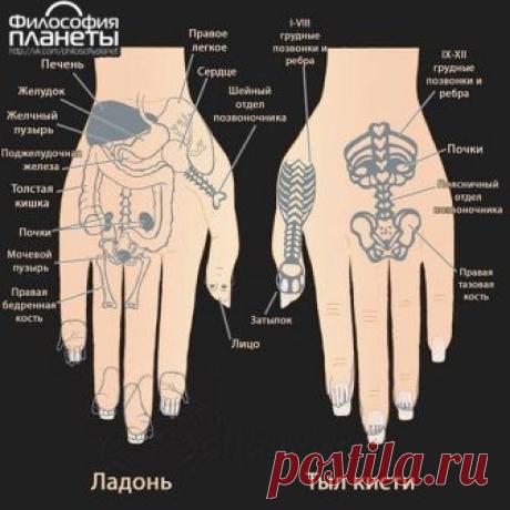 Китайские шарики как способ сохранить здоровье, не вставая с дивана

Все мы знаем о пользе физических упражнений. Однако не всегда находим время даже для элементарной зарядки. Как же в таком случае помочь своему организму оставаться здоровым? Для этого нам пригодится один из методов традиционной китайской медицины. А именно: оздоровительный массаж с использованием китайских шаров. Это удивительно, но примерно 15 минут легкого массажа рук могут заменить полноценную зарядку....