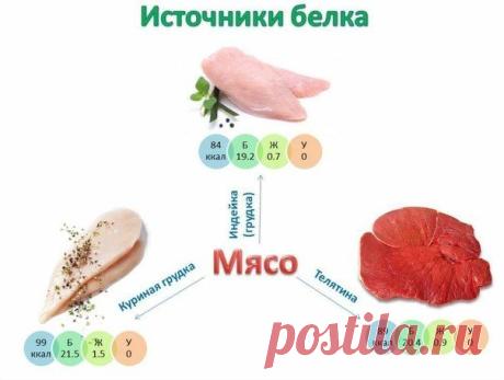 Источники белка / Спорт Сильных!