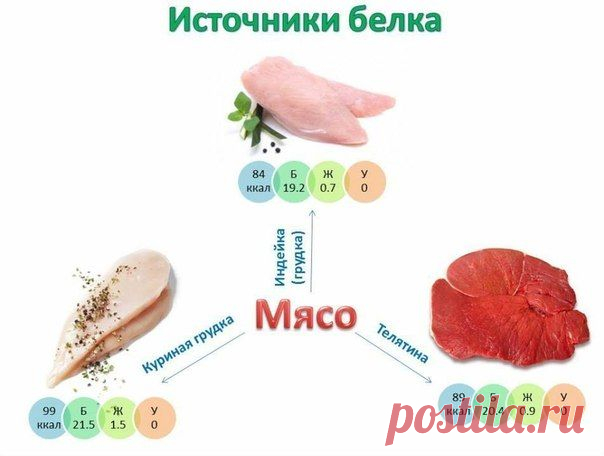 Источники белка / Спорт Сильных!
