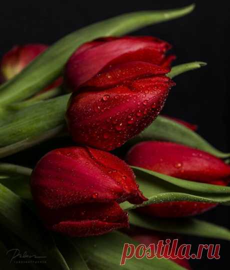 В мире красоты!!- потрясающая фотоподборка...♥♥♥