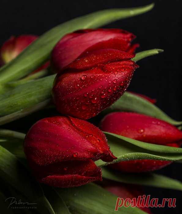 В мире красоты!!- потрясающая фотоподборка...♥♥♥