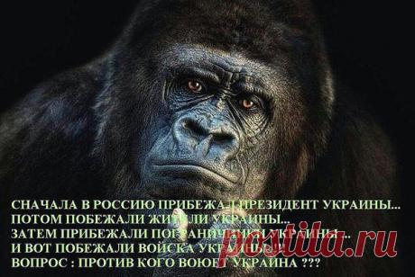 (7) Одноклассники