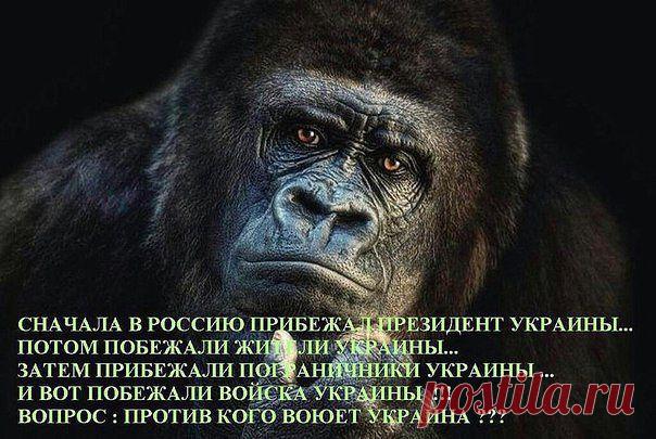 (7) Одноклассники