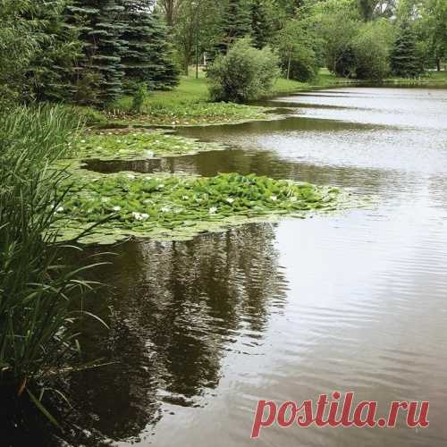 Приманки для ловли в траве