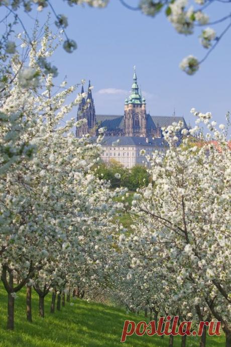 Praga: Praga!  |  Pinterest • Всемирный каталог идей