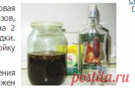 Сабельник болотный (трава) – полезные свойства и применение сабельника, настойка сабельника, мазь из сабельника, корень сабельника (артроз, артрит...)
&quot;Сабельник -корневища коричневого цвета ломаем на кусочки 2-3см ,сухой он очень хорошо ломается. Заполняем стеклянную, любой вместительности банку, не меньше чем на треть банки. Заливаем водкой доверху и ставим в темное место комнатной темп. на 21 день. Время от времени встряхиваем.&quot;