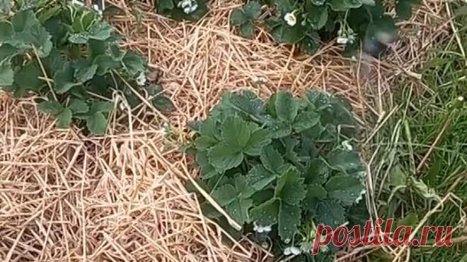 video_20230524_150231_0.mp4