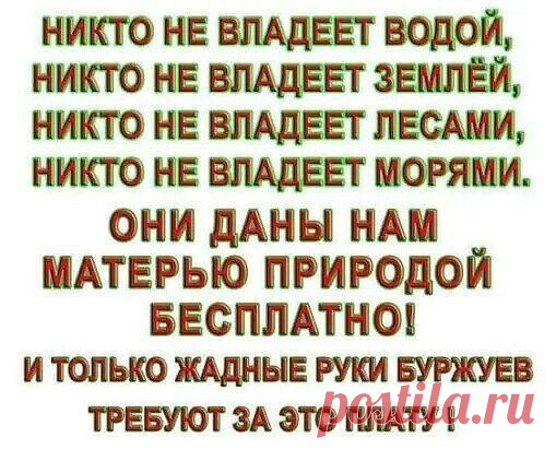 Свобода 2023