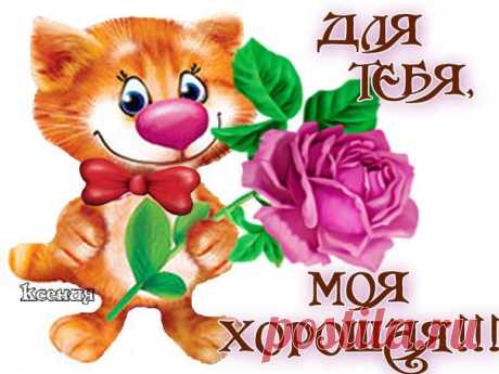 Букет@На вашу страницу@ !!!!!!!