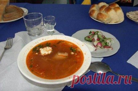 Борщ весенний с рыбкой зеленый | FISH-SEAFOODS.RU