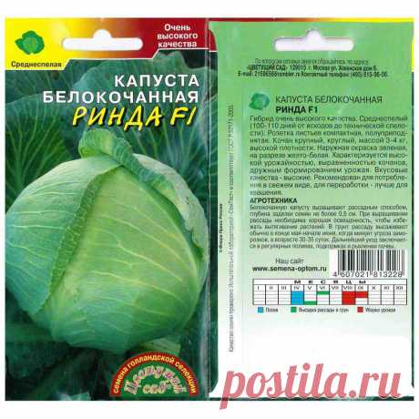 Выращивание капусты под пластиковой бутылкой | Дачная энциклопедия | Яндекс Дзен