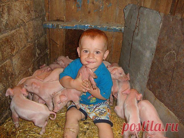 ╰დ♥ЭlеN ♥╭დ╯
Россия, ♀ ♂♥