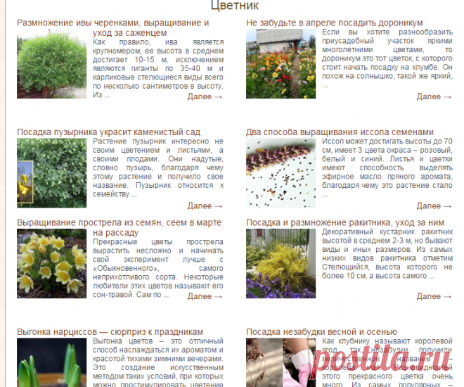 ЦВЕТОВОДСТВО-Цветник | Дача - впрок