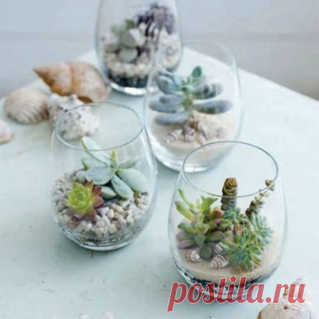 HAND-MADE. Восхитительные мини-сады!