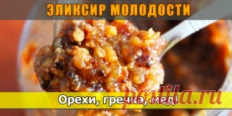 Эликсир здоровья: гречка, орехи, мед | Полезные советы