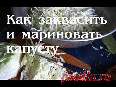 ▶ Как квасить, мариновать капусту - YouTube