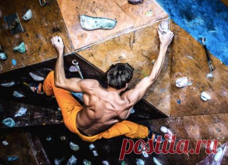 Как увеличить силу хвата и правильно развить кисти рук
Важно не только развить силу, но и уметь ее удержать. А она в буквальном смысле слова может ускользнуть сквозь пальцы. Вот несколько проверенных способов вцепиться в нее. Самое впечатляющее на соревнованиях по силе хвата — это удержание пальцами двух 20-килограммовых дисков от штанги. Казалось бы, чего проще: возьми пару дисков и сожми...
Читай пост далее на сайте. Жми ⏫ссылку выше