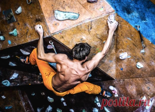 Как увеличить силу хвата и правильно развить кисти рук
Важно не только развить силу, но и уметь ее удержать. А она в буквальном смысле слова может ускользнуть сквозь пальцы. Вот несколько проверенных способов вцепиться в нее. Самое впечатляющее на соревнованиях по силе хвата — это удержание пальцами двух 20-килограммовых дисков от штанги. Казалось бы, чего проще: возьми пару дисков и сожми...
Читай пост далее на сайте. Жми ⏫ссылку выше