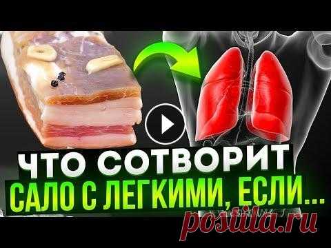 Именно из-за этого САЛО вызывает НЕОБРАТИМЫЕ ПРОЦЕССЫ в теле. Поэтому людям с... Сало для легких. Что содержится в сале? В чем польза сала для легких и других органов? Как правильно использовать сало для здоровья органов дыхания? С...