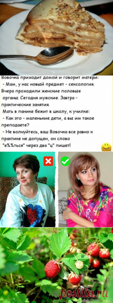 10 лучших упражнений на блоках
Кроссовер и тросовые тренажеры дают вариативность, необходимую для лучшего развития мышц. В...
Читай дальше на сайте. Жми подробнее ➡