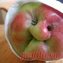 Природа шутит