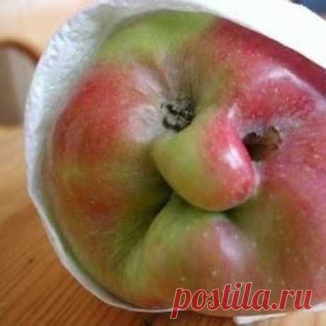 Природа шутит