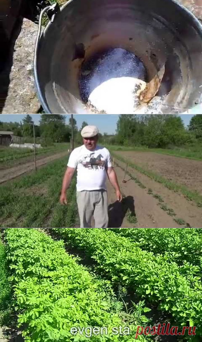 1 непрочитанный чат