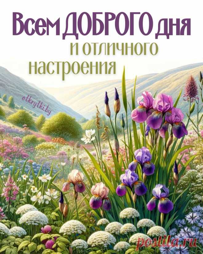Дня хорошего желаю,
Много радости, тепла.
За спиной всегда пусть будут
Счастья белых два крыла. с добрым днём открытки