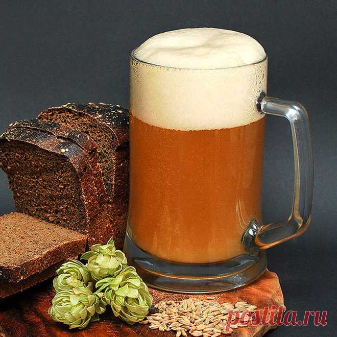 Хлебное пиво от канала свой среди своих кулинария Статья автора «Свой Среди Своих Кулинария» в Дзене ✍: Натурально, дешево, вкусно!     Пиво из хлеба это самый простой рецепт, пенного который может только быть.