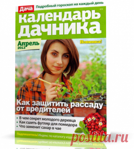 Как защитить рассаду от вредителей