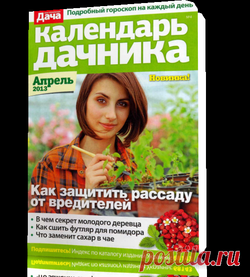 Как защитить рассаду от вредителей